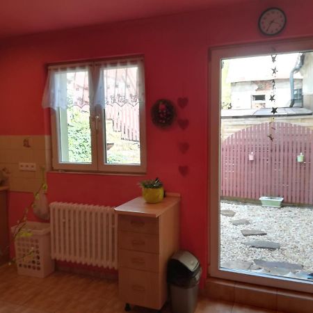 Apartament Prazdninovy Byt Arin Jáchymov Zewnętrze zdjęcie