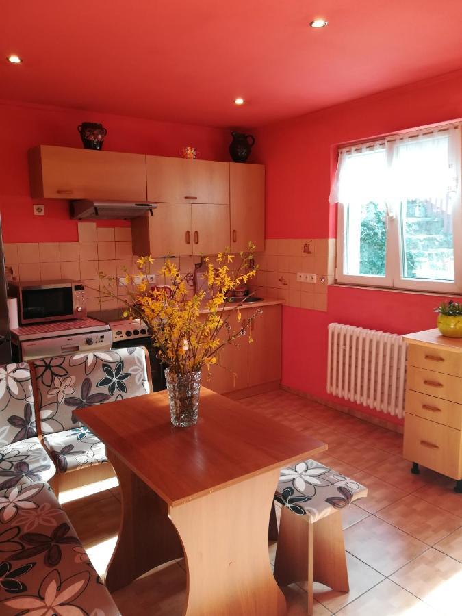 Apartament Prazdninovy Byt Arin Jáchymov Zewnętrze zdjęcie